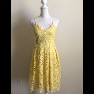 🌼Lace Design Lab Dress🌼